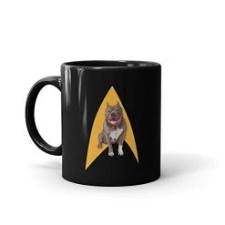 Star Trek: Picard No.1 Delta Mug (11oz)