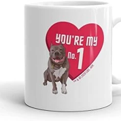 Star Trek: Picard You're My No.1 White Mug (11oz)