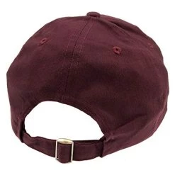 Star Trek: Picard Baseball Cap