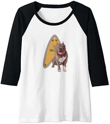 Star Trek: Picard No.1 Tag Raglan Baseball Tee 6 Star Trek: Picard No.1 Tag Raglan Baseball Tee - Image 6