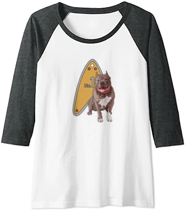 Star Trek: Picard No.1 Tag Raglan Baseball Tee 12 Star Trek: Picard No.1 Tag Raglan Baseball Tee - Image 12