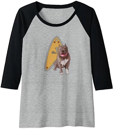 Star Trek: Picard No.1 Tag Raglan Baseball Tee 11 Star Trek: Picard No.1 Tag Raglan Baseball Tee - Image 11